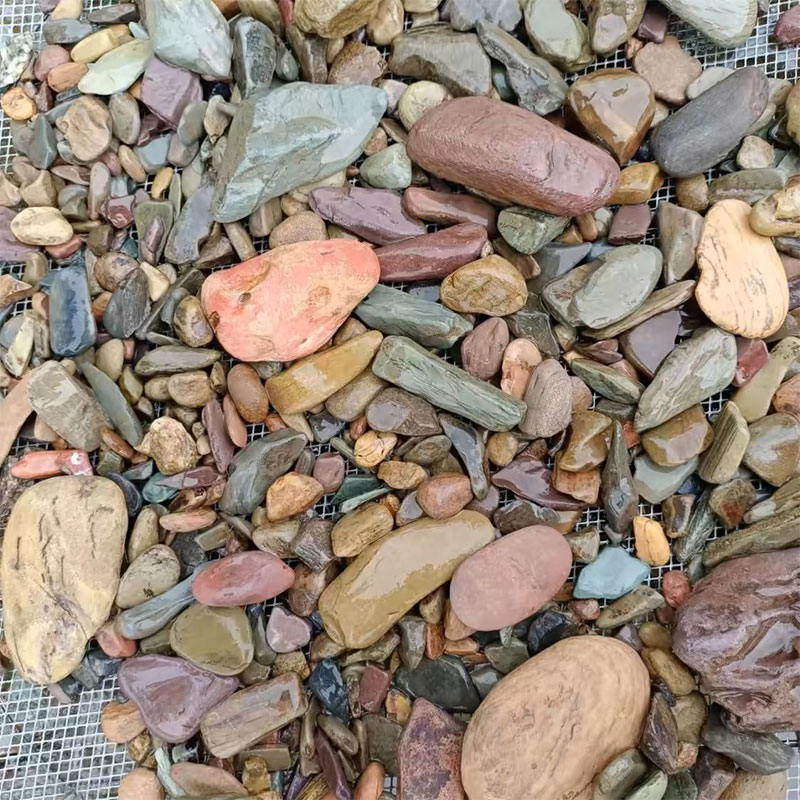 500g fundo do tanque de peixes - Aquarium Planted Sand avaliação e preço