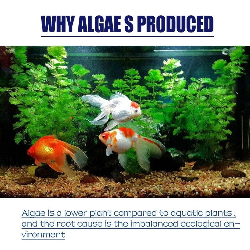 Algaicida de Alta Eficiência 5 - Planted Aquarium Algae avaliação e preço