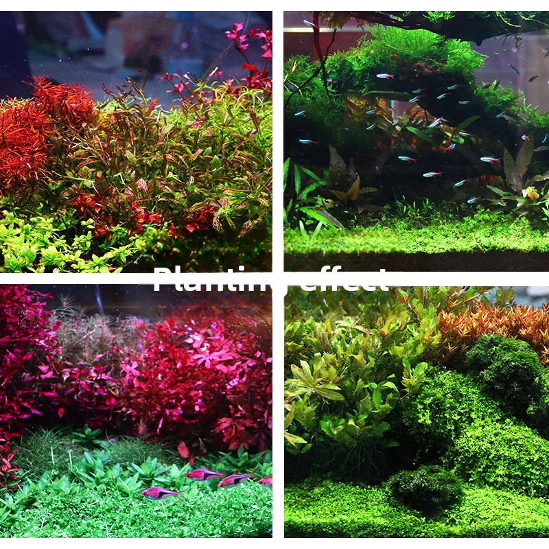 SYSENCIAGA Substrato de aquári - Aquarium Planted Sand avaliação e preço