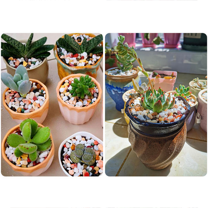 Pedra de cascalho natural 200  - Aquarium Planted Sand avaliação e preço