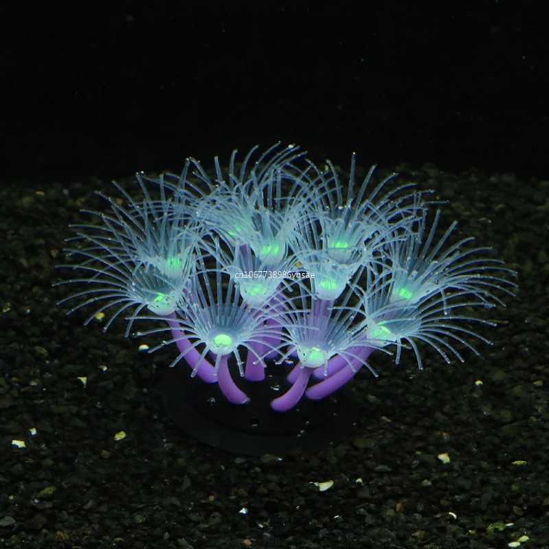 Plantas de algas de coral arti - Planted Aquarium Algae avaliação e preço