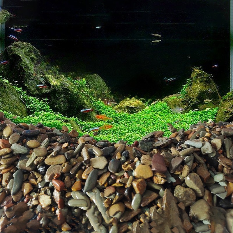 Seixos de Rio para Fundo de Aq - Aquarium Planted Sand avaliação e preço