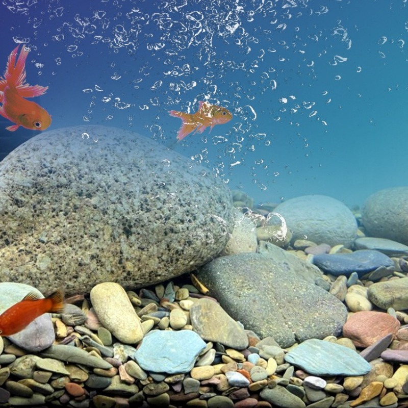Seixos de Rio para Fundo de Aq - Aquarium Planted Sand avaliação e preço