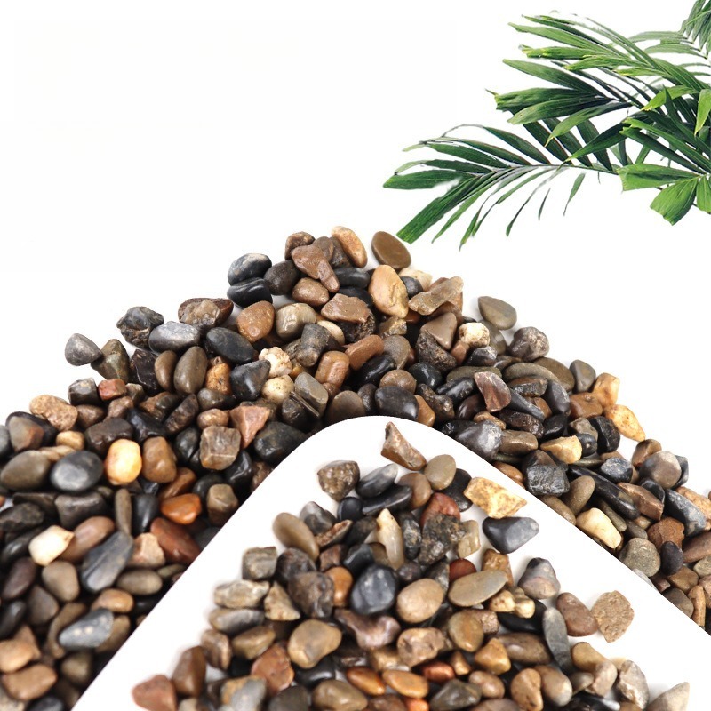 Seixos de Rio para Fundo de Aq - Aquarium Planted Sand avaliação e preço