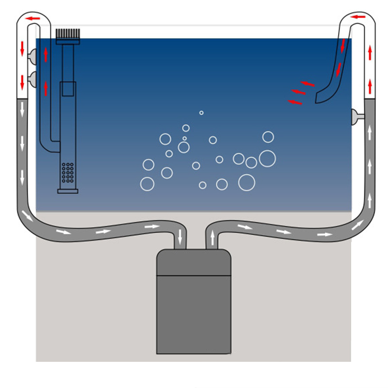 Aço inoxidável Inflow Outflow  - Aquarium Lily Pipe avaliação e preço