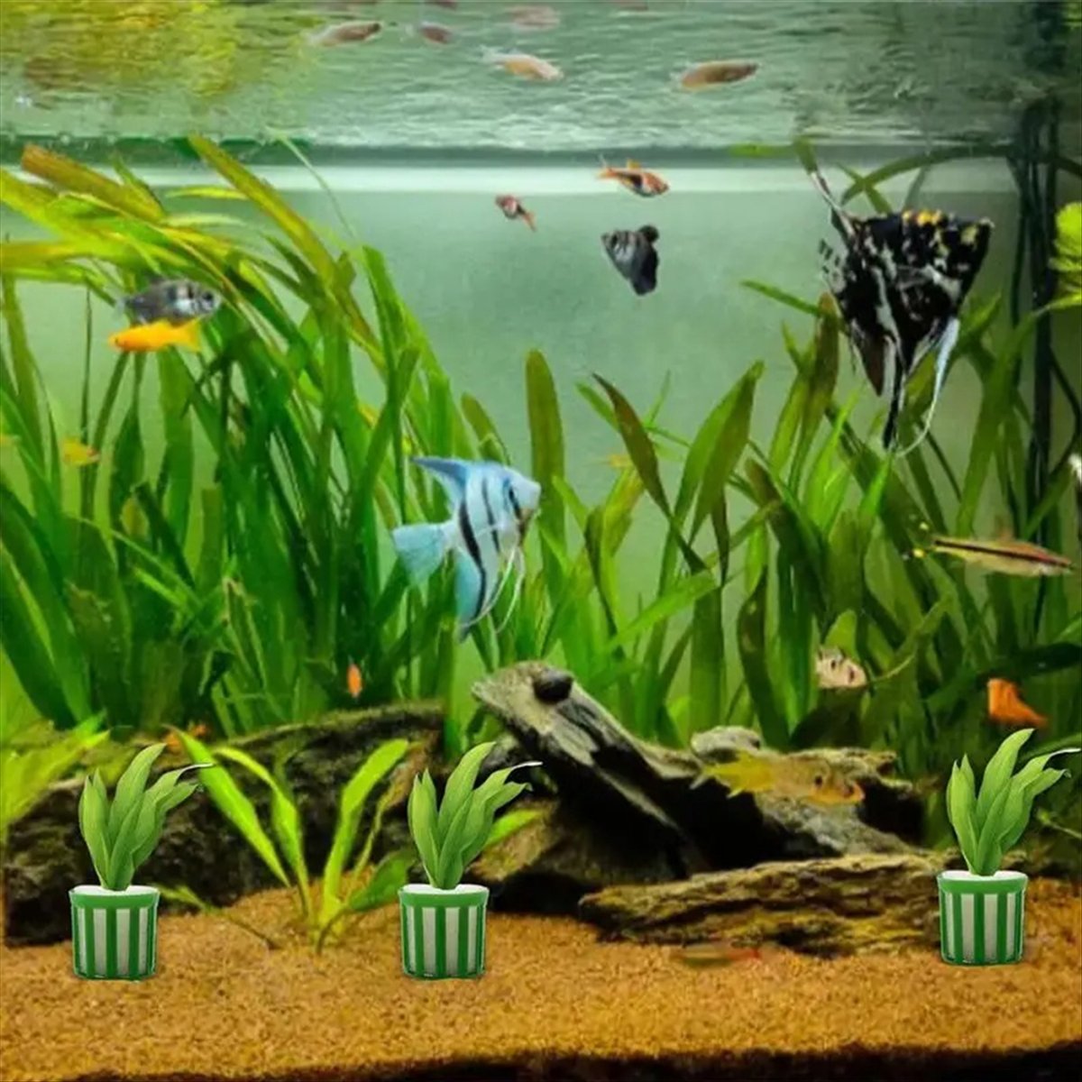 Suporte Fixo para Plantas Aquá - Planted Aquarium Tool Kit avaliação e preço