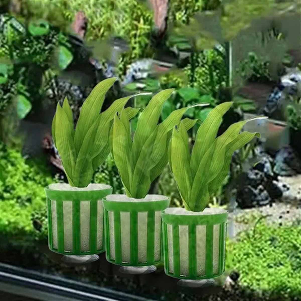 Suporte Fixo para Plantas Aquá - Planted Aquarium Tool Kit avaliação e preço