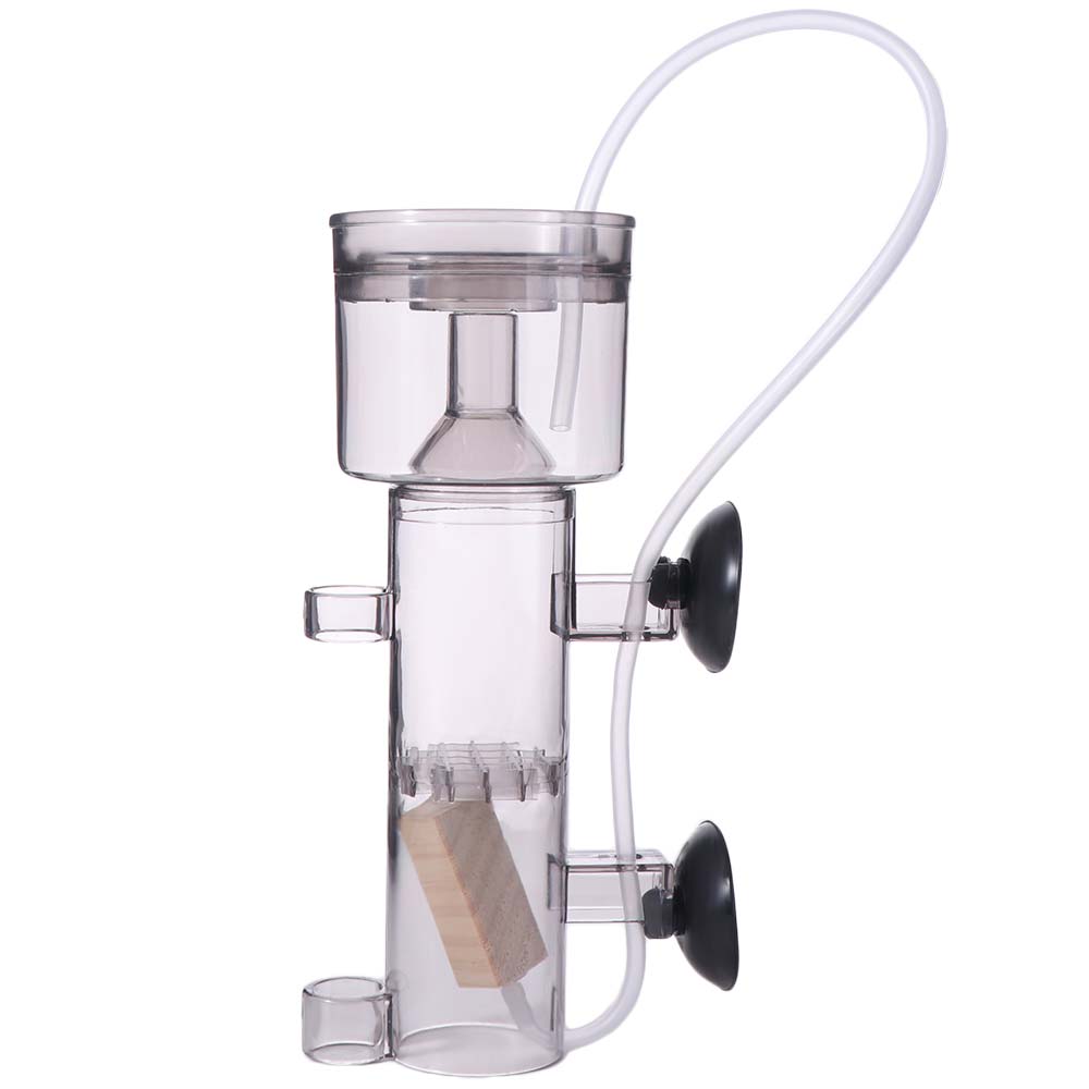 Separador de Proteínas para Aq - Aquarium Lily Pipe avaliação e preço